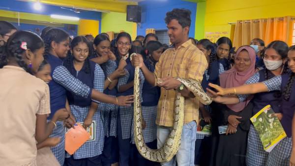 பாம்புகள்