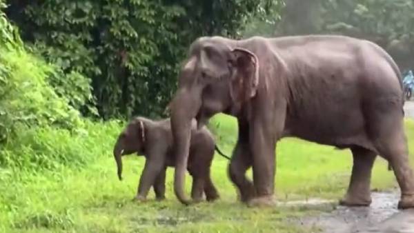  நெட்டிசன்கள் கருத்து
