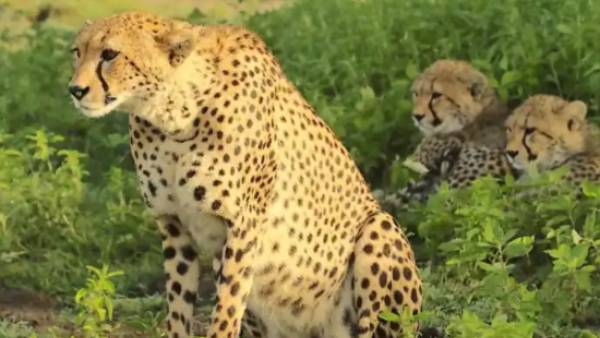  குனோ-பல்புர் தேசிய பூங்கா