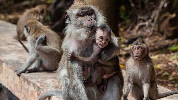 உத்தரப் பிரதேசம் உத்தரப் பிரதேசம்