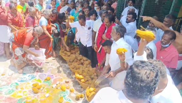  1008 தேங்காய் 