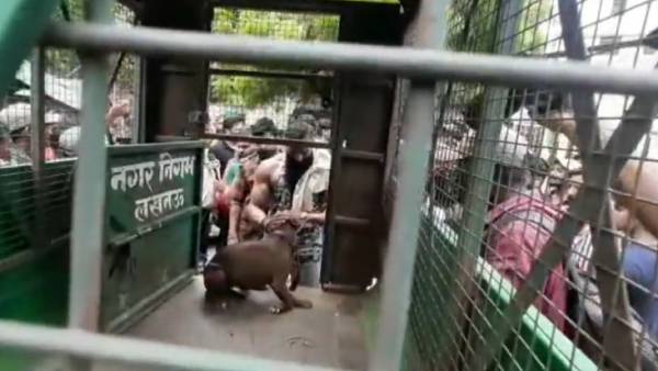  82 வயது முதியவர்