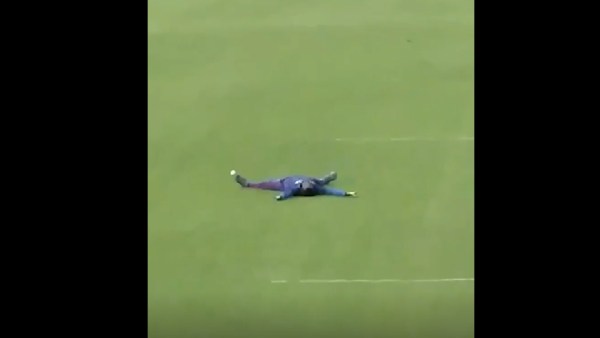 விக்கெட் விக்கெட்