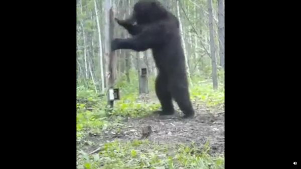 கண்ணாடியைப் பார்த்து பயம்