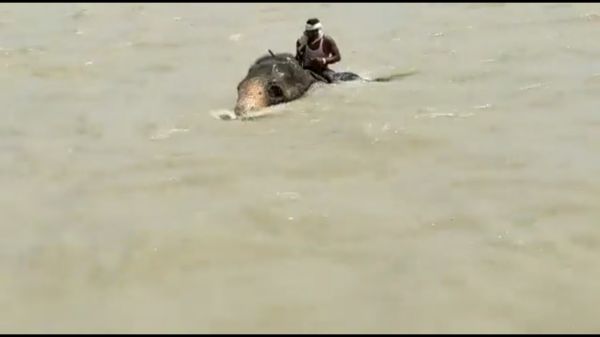  மழை வெள்ளம் 