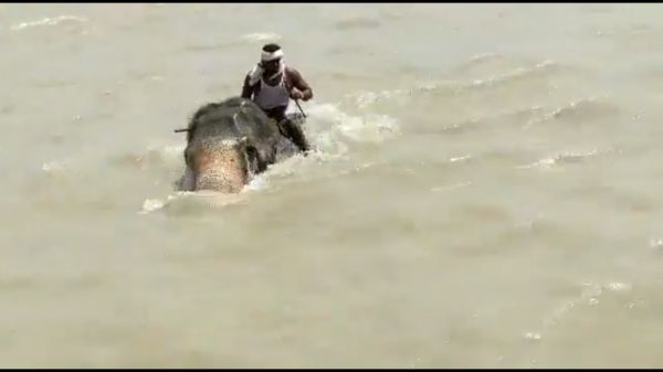 வெள்ளம் 