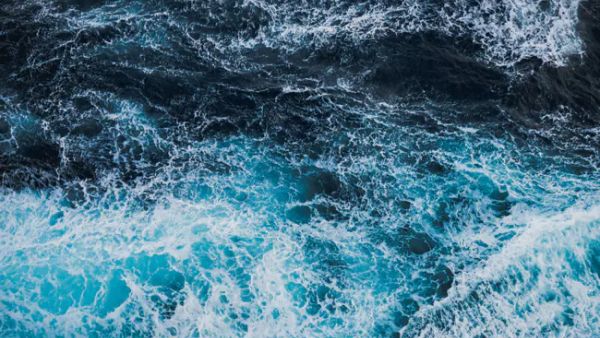 கால் பந்து 