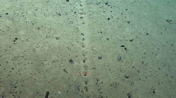  அட்லாண்டிக் பெருங்கடல்