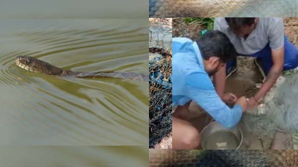  கடித்துவிடும் என பயந்தோம்