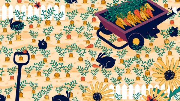 ஆப்டிக்கல் இல்யூஷன் 