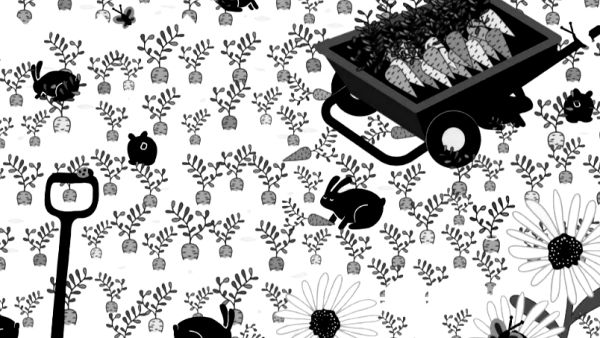 கேரட் செடிகள் 