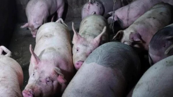 சோதனையில் அதிர்ச்சி 