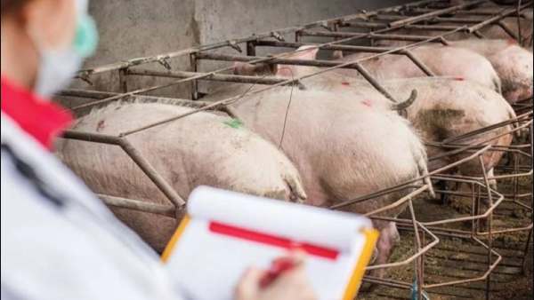  உத்தரப் பிரதேசத்திலும் பாதிப்பு