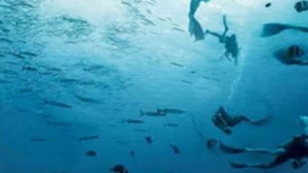  டிரெண்டிங் வீடியோக்கள்