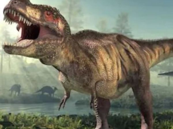  டைனோசர்