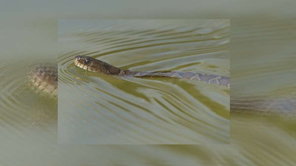  உஷார் நிலையில் மீட்பு குழு