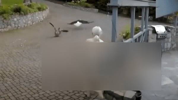  மேலாடை இல்லாமல்