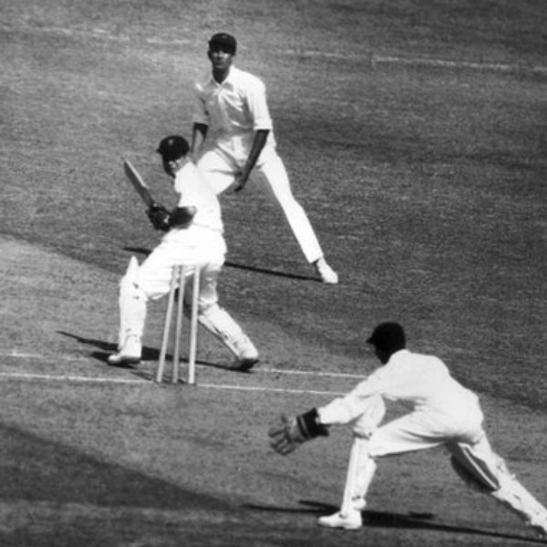 கிரிக்கெட் 