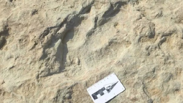  4,300 கால் தடங்கள்