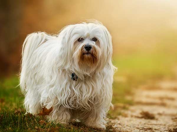 4 சிகிச்சை மையங்கள் 