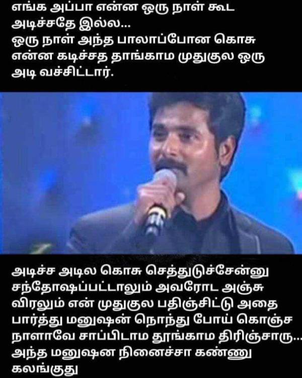  Funny memes collection on World Mosquito Day