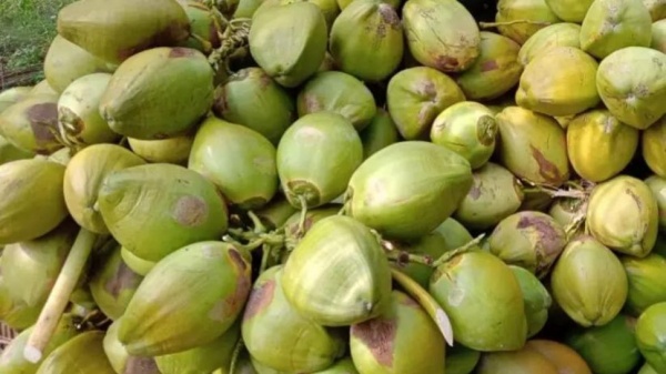 காலம் நீட்டிப்பு காலம் நீட்டிப்பு