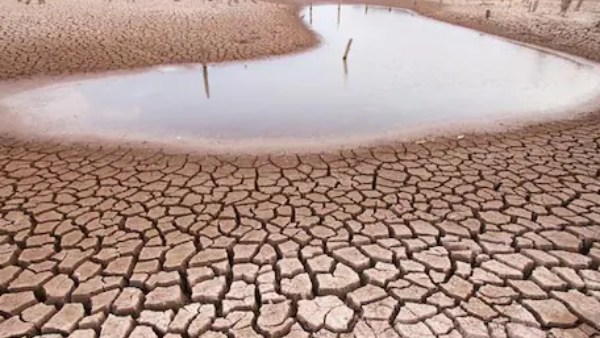 வெளிநாடுகளில் இருந்து இறக்குமதி 