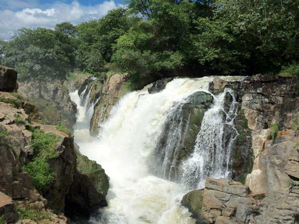  தீவிர கண்காணிப்பு