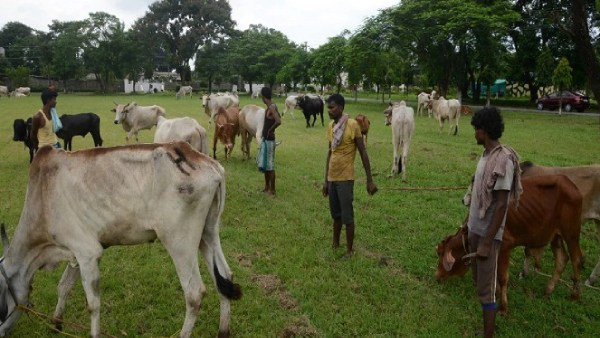 எல்லை கிராமம் 