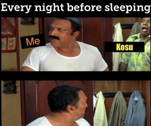  Funny memes collection on World Mosquito Day