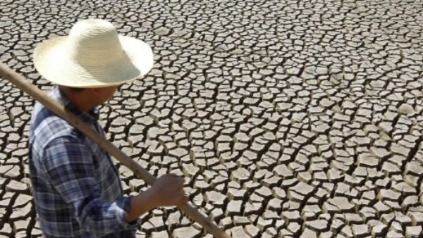 சீனாவில் வெப்ப அலை