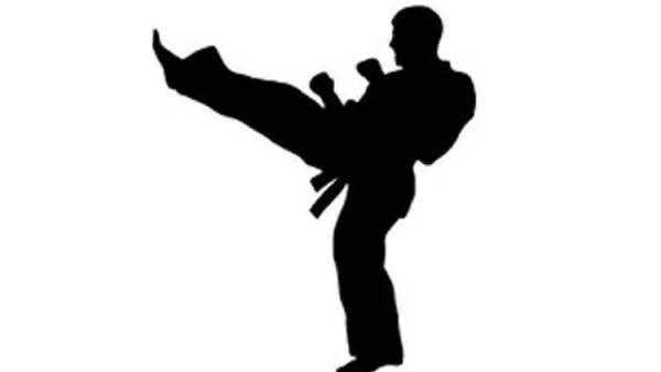  கராத்தே - குங்ஃபூ 