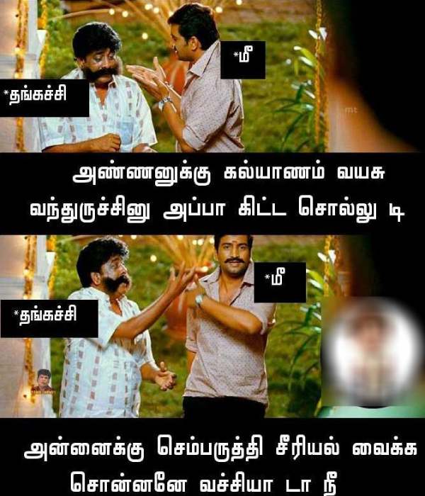 Funny memes collection on brother-sisters love