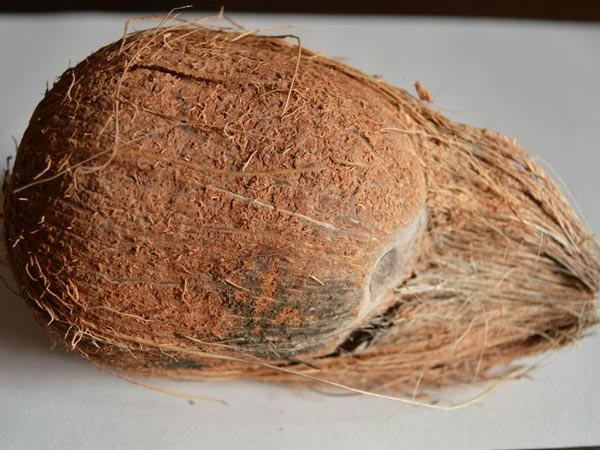சிதறு தேங்காய் சிதறு தேங்காய்