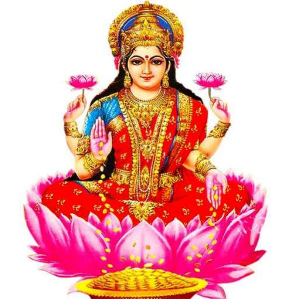  பழைய துடைப்பத்தை என்ன செய்வது 