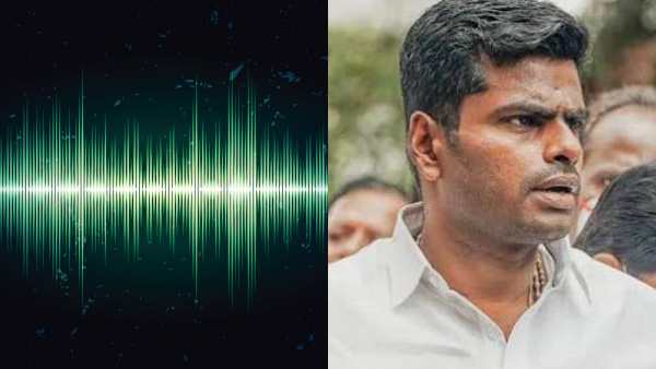 அண்ணாமலை ஆடியோ 