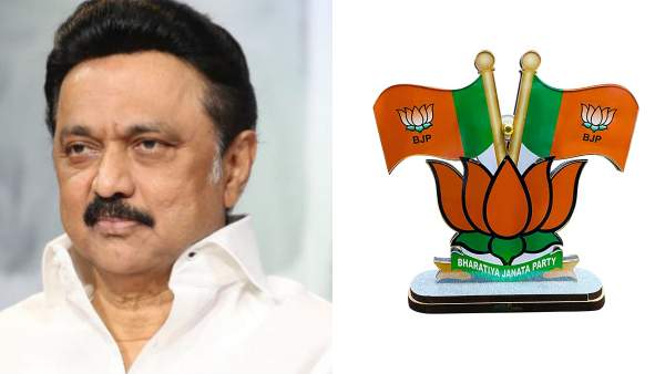 முதுகில் சவாரி முதுகில் சவாரி