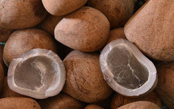 லாபகரமான விலை லாபகரமான விலை