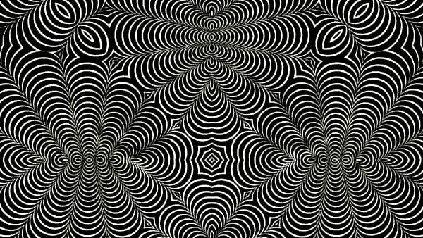 விலங்குகள் விலங்குகள்