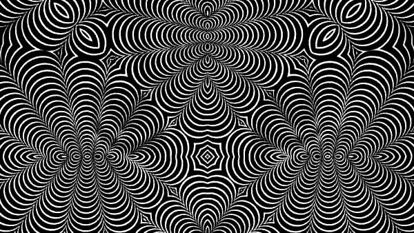 என்ன விலங்கு என்ன விலங்கு