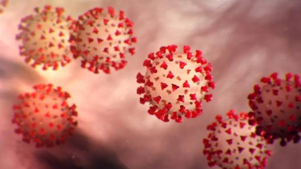  கொரோனாவின் கோர தாண்டவம்