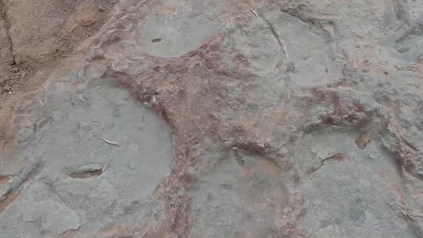  உயரம், எடை மற்றும் நடக்கும் வேகம்