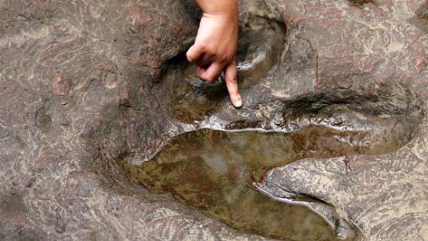  15 மீட்டருக்கும் மேலானவையாக