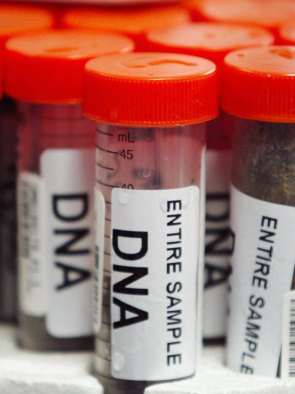 டிஎன்ஏ பரிசோதனை டிஎன்ஏ பரிசோதனை
