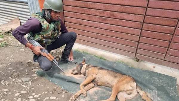  போஸ்ட் மார்ட்டம்