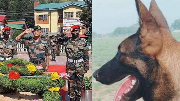 நெகிழ்ச்சி