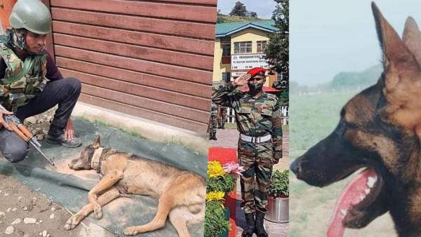  பாடி கேமராக்கள்