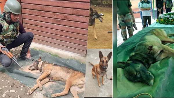  ரகசிய தகவல்