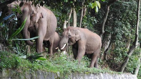 டிரான்ஸ்பர் டிரான்ஸ்பர்