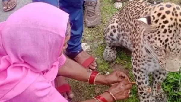  காடு வரை நீளும் அன்பு